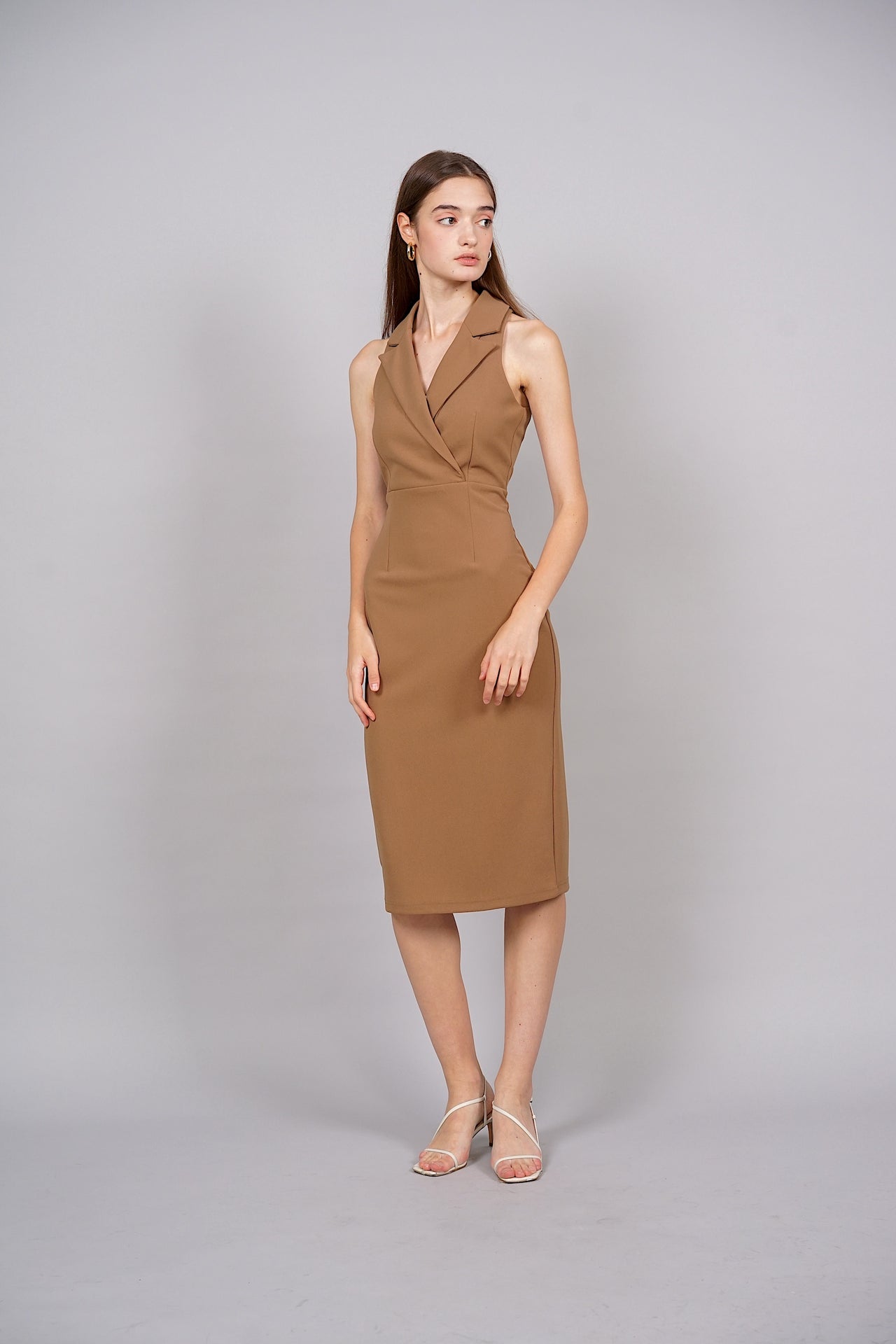 Bailey Collared Dress in Brown